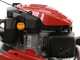 Efco LR 53 VK Allroad PLUS 4 - Rasaerba a scoppio semovente - Motore Emak K 805 OHV da 196 cc