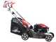 Efco LR 48 TKE Comfort Plus - Rasaerba a scoppio semovente - Motore Emak K 655i OHV da 166 cc