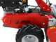 Efco DR 65 K1100H - Trinciaerba professionale a martelli - Motore a benzina 10 HP