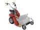 Efco DR 65 K1100H - Trinciaerba professionale a martelli - Motore a benzina 10 HP