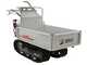 Efco TN 5600 - Motocarriola cingolata cassone estensibile - Portata 550Kg