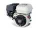 AGT 6500 - Motozappa a benzina 6.5 HP - Honda GP200 196cc - cambio marce 2+1 retromarcia