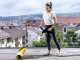 Karcher PCL 4 - Lavapavimenti - lavasuperfici a spazzole rotanti - 600 W