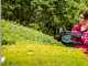 Bosch Advanced Hedgecut 65 - Tagliasiepi elettrico con lama da 65 cm - 500W