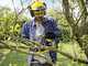Karcher CNS 18-30 - Elettrosega a batteria 18V 2.5Ah - Lama da 30cm