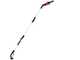 Worx WG349E - Potatore a batteria su asta telescopica - 2Ah da 20V