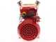 Rover Novax 40-M - Pompa elettrica da travaso in lega antiossidante - Monofase - 230V