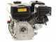 Motore a scoppio GeoTech Pro 212 cc ad albero orizzontale monocilindrico 4 tempi