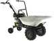 Eurosystems Carry - Carriola a motore trazionata con motore Honda GCVx 170