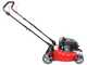 Ama TRX 421 - Tagliaerba a scoppio - 3in1: raccolta + scarico posteriore + mulching