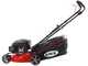 Ama TRX 421 - Tagliaerba a scoppio - 3in1: raccolta + scarico posteriore + mulching