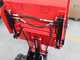 Blue Bird Trasporter 500DL - Motocarriola cingolata cassone dumper 500Kg