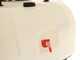 Eurosystem Carry Sprayer - Motocarriola irroratrice - Motore Honda GCVx170