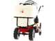 Eurosystem Carry Sprayer - Motocarriola irroratrice - Motore Honda GCVx170