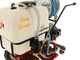Eurosystem Carry Sprayer - Motocarriola irroratrice - Motore Honda GCVx170