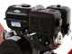 GeoTech Pro PCS 160 BSE PRO - Biotrituratore a scoppio professionale - Motore B&amp;S XR2100