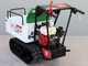 Seven Italy T300 GX-E - Motocarriola cingolata estensibile - Portata 300Kg