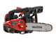 Blue Bird CSP 280T - Motosega a scoppio da potatura - Lama da 25cm