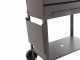 Mille Polifemo Medium - Barbecue in ferro artigianale a carbone - 57,5x37cm