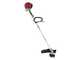 Castelgarden BC 435 H - Decespugliatore a benzina 4 tempi - Motore Honda GX35