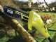 Ryobi RPP750S - Potatore elettrico su asta telescopica - Barra Oregon 20cm