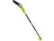Ryobi RPP755E - Potatore elettrico su asta telescopica - Barra Oregon 25cm