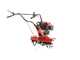 Einhell GC-MT 2560 LD - Motozappa a benzina 5 HP - Motore 150cc