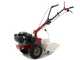 Eurosystems P55 - Motocoltivatore benzina - Loncin LC1P70F-3 - 6.5HP