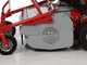 GeoTech Pro GFM 600 BS - Trinciaerba professionale a martelli - B&amp;S CR950