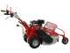 GeoTech Pro GFM 600 BS - Trinciaerba professionale a martelli - B&amp;S CR950