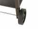 Mille Vanessa Small - Barbecue in ferro artigianale a carbone - 47,5x37cm