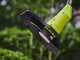Ryobi RY36LT33A-0 - Decespugliatore a batteria - MAX POWER 36V - SENZA BATTERIA E CARICABATTERIA