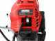 GeoTech GT-2 52 L - Potatore a scoppio su asta telescopica - Lama da 30cm