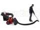 GeoTech Pro LV650 SPBS Deluxe - Aspirafoglie-Biotrituratore trazionato a marce - B&amp;S Vanguard