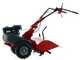 Eurosystems RTT 2 SR - Motocoltivatore benzina - Brigs&amp;Stratton CR950 - 7HP