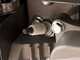 Eurosystems P70 EVO - Motofalciatrice multifunzione bilama - Loncin 224 OHV