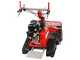 GeoTech Pro GFM 860 BS-E - Trinciaerba professionale a martelli - B&amp;S XR2100