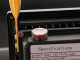 Wortex Beach 270E - Carriola elettrica estensibile a batteria 60V 20Ah