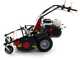 Benassi T750P - Trinciaerba professionale a martelli - Honda GX390