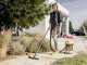 Karcher WD 3 S V-17/4/20 - Bidone Aspiratutto - Acciaio INOX - 17 litri