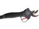 Zanon Tiger SL 38 - Forbice elettrica da potatura su asta - 50.4V 3.2Ah - 175/255 cm