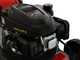 Efco LR 44 TK Comfort - Tagliaerba a scoppio trazionato - Motore Emak K 450 OHV da 123 c