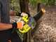 Stiga Estate 598e - Kit Trattorino tagliaerba con 1 modulo batteria ePower Pro da 56V/40Ah - Cesto di raccolta e mulching