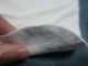 Karcher K5 Power Control Home - Idropulitrice ad acqua fredda - 145 bar