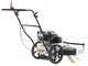 BlackStone WYT 60-173 - Motospazzola con motore a scoppio a spinta