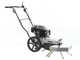 BlackStone WYT 60-173 - Motospazzola con motore a scoppio a spinta