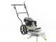 BlackStone WYT 60-173 - Motospazzola con motore a scoppio a spinta