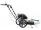 BlackStone WYT 60-173 - Motospazzola con motore a scoppio a spinta