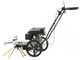 BlackStone WYT 60-173 - Motospazzola con motore a scoppio a spinta