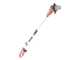 Einhell GC-LC 18/20 Li T - Potatore a batteria su asta di prolunga - 18V 2.5Ah